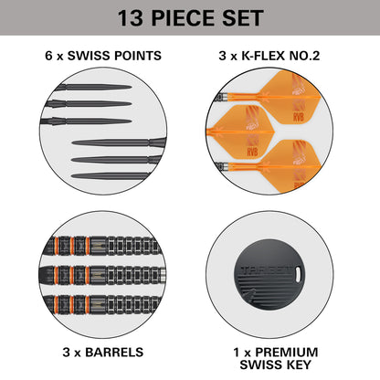 Target Raymond Van Barneveld 95K SP Steel Tip Darts 2026